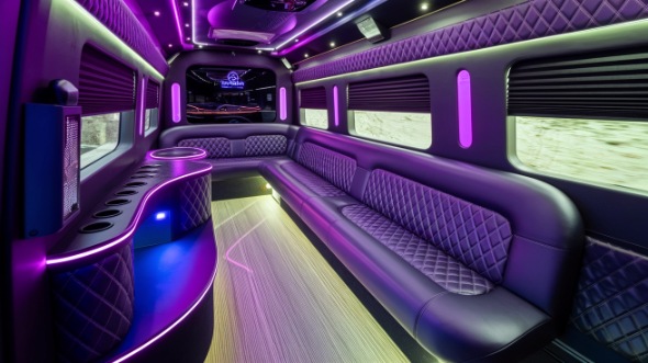 sprinter limo rental interior